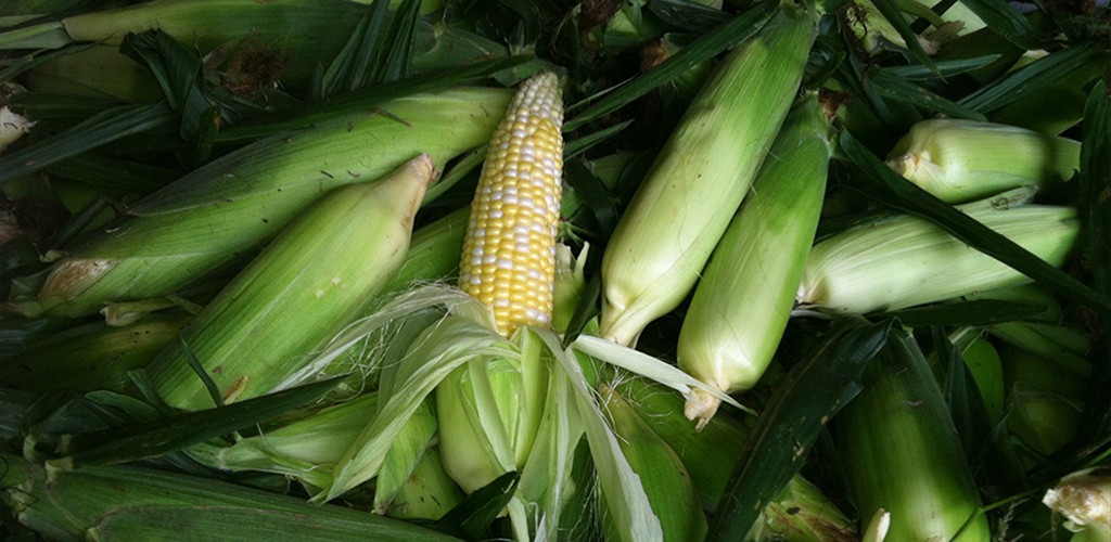  Locally grown Non-GMO Produce